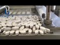 10000pcs per hour big tablet hydraulic press machine 2021 03 19