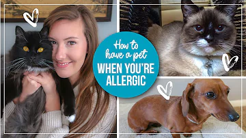 Can dog allergies go away with exposure?