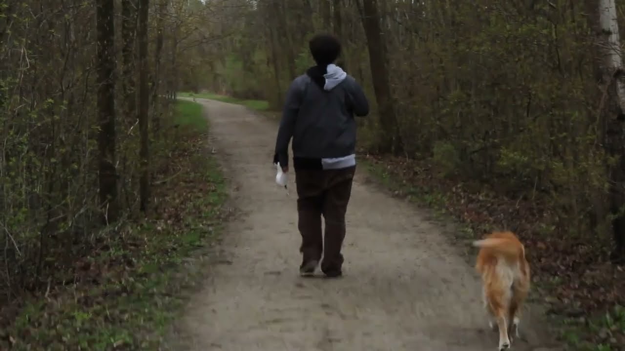 Out For a Walk