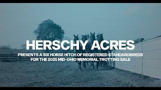 Herschy Acres Six Horse Hitch