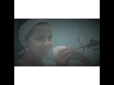 أحمد آمين مدنية حرية وسلام