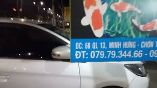 Vi Sinh Mhkf 6 In 1 Của Minh Hưng Koi Farm Vi Sinh Hồ Koi Vi Sinh Làm Trong Nước.