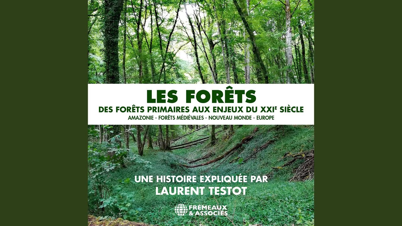 L'histoire cyclique chinoise