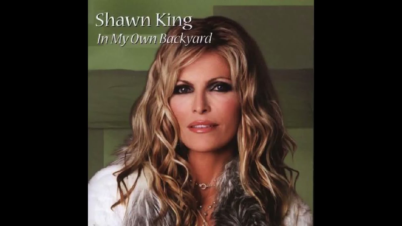 Shawn King - "In This Room" (Orchestral Version)