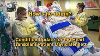 University of Maryland Doctors Update the Condition of Pig Heart Transplant Patient David Bennett