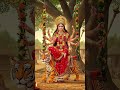 #maa🌸🌸#bhakti bha 🌸🌸#navratrispecial 🌸🌸#maadurga 🌸🌸#song 🌸🌸#shorts 🌸🌸