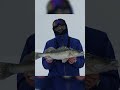 Первый судак! Как оно было.. #shorts #рыбалка #icefishing #судак