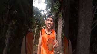 Download Lagu KOPI MANIS☕🚬🤣\ MP3 Download Lagu KOPI MANIS☕🚬🤣\ MP3