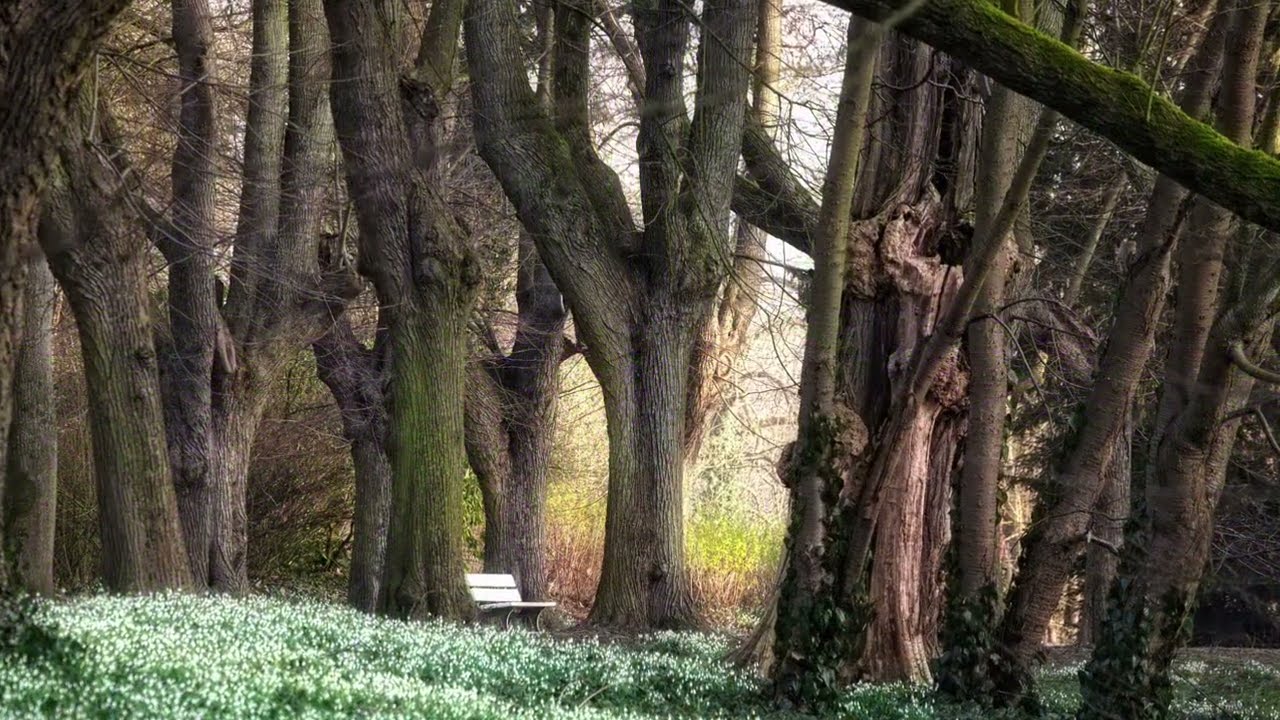 Für immer Frühling (Akustik Version)