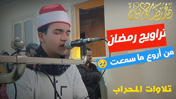 تلاوات المحراب | من أروع ما سمعت🥹 / القارئ محمد رضا قابيل