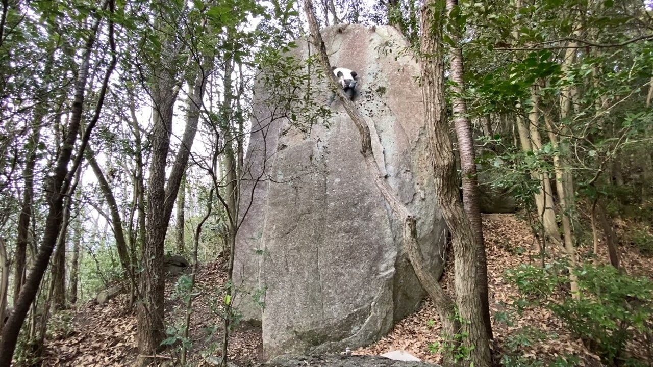 豊田ボルダー 小槍II c?