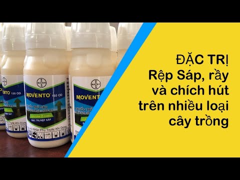 Video Movento 150OD. Đặc trị rệp sáp, rầy xanh và côn trùng... - youtube