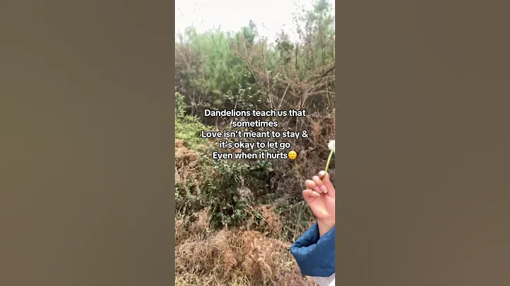 So just move on….#viral #foryourpage #reels #share