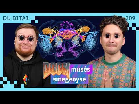 Instinktyviai atsakantis Jev ir Doom musės smegenyse