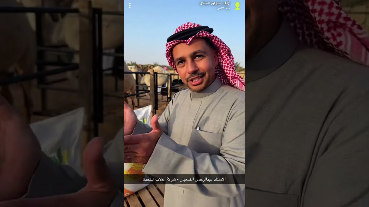 مشروع ابو حمد النغيمشي لتسمين الحشو بالقصيم ١٤٤٧/٨/١٣هـ