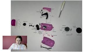 Reverse Engineering Project