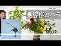 【生け花】【オシャレな小品】_美容柳と真っ赤なバラをいける_2作品_Sogetsu Ikebana
