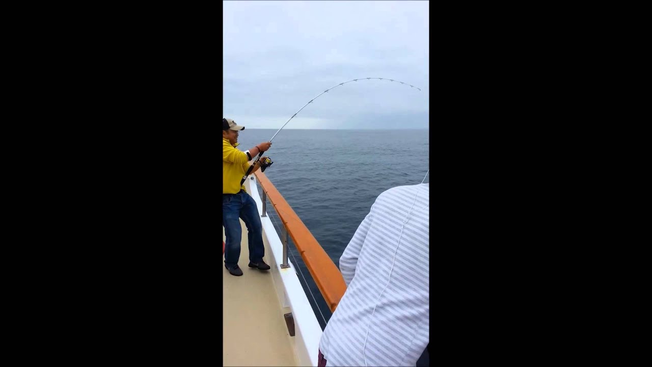 yellowtail 3/4 day "San Diego" Seaforth Landing YouTube