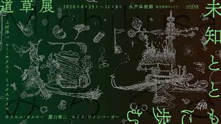 道草展：未知とともに歩む｜現代美術ギャラリー｜水戸芸術館