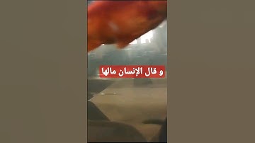 # إذا زلزلت الأرض زلزالها | #اسلام صبحي |#سورة الزلزلة