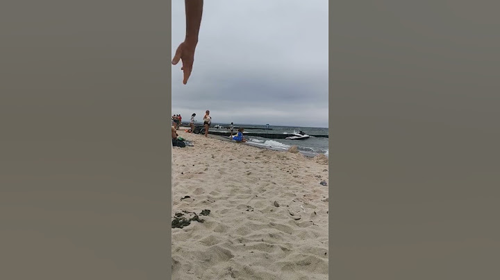 Зеленоградск live🌊 Балтийское море прямо сейчас.