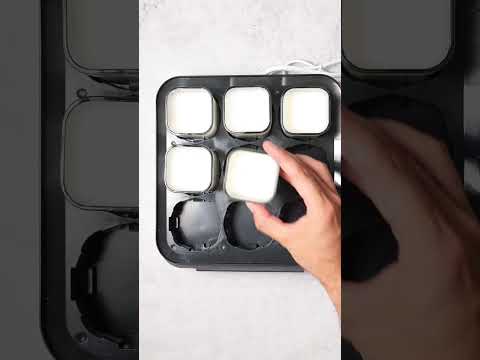 Yogurt natural con