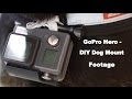 GoPro Hero - DIY Dog Mount Footage - GOPR0004