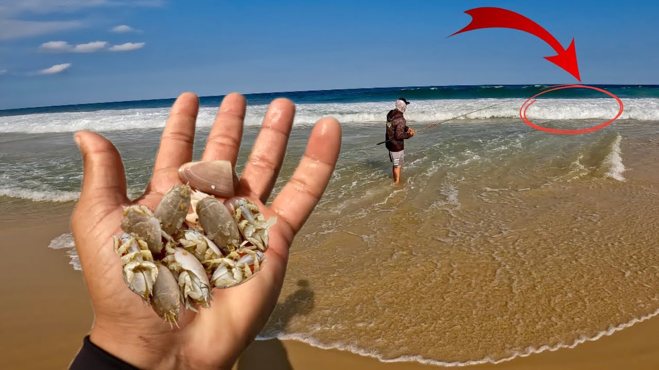 OLHA O TAMANHO DESSE PEIXE. Aprenda 4 maneiras de COMO USAR ISCAS NATURAIS na Pescaria de Praia