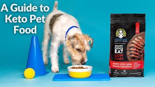 Choosing the Right Keto Dog Food: Key Factors to Consider by Visionary Keto Pet Foods 20 views 11 months ago 2 minutes, 51 seconds