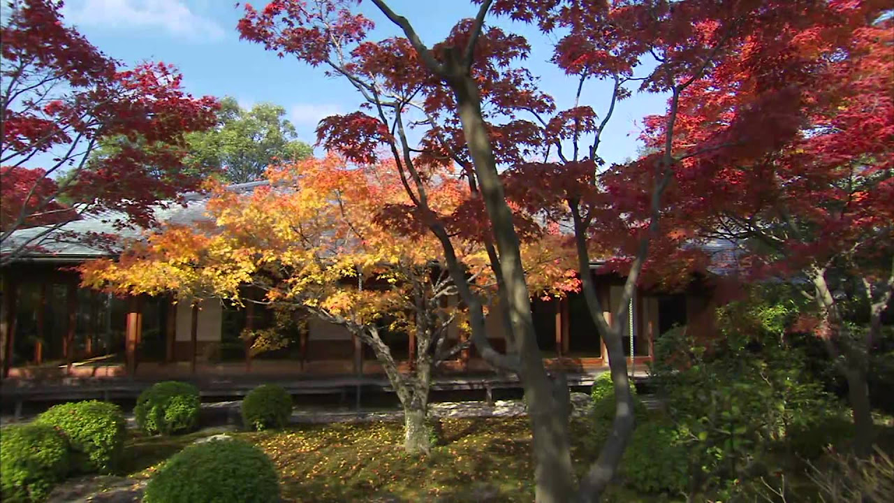 日本の庭 AN APPROACH TO NATURE Yahoo!オークション - 【日本の庭 An Approach to Nature 伊藤