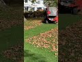 Cleaning under the tree ( laubsauger) #ytshorts