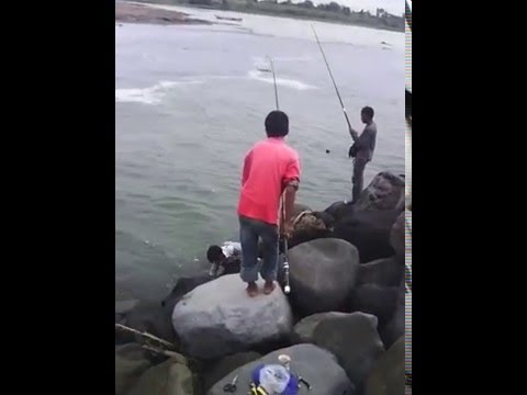 mancing pake umpan udang kecil dapat ikan besar mancing pake umpan udang kecil dapat ikan besar