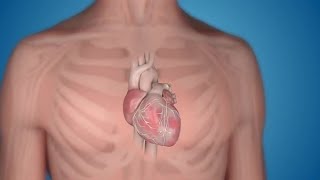 Famous Discover the new world's smallest pacemaker Profile