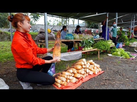 Harvesting bamboo shoots underground and sell at farmers market | Ana Bushcraft | Ep.66