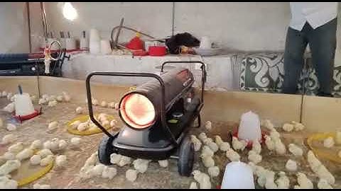 DIESEL BROODER FOR BROILERS BROODING | BROILER BROODING
