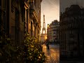 Cozy Paris Café - Relaxing Jazz for Study &amp; Sleep