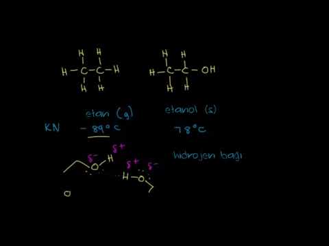 Alkollerin Fiziksel Özellikleri ve Alkoksitlerin Hazırlanışı (Fen Bilimleri) (Organik Kimya)