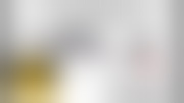 Franklin Armory Binary Trigger 10/22 Review