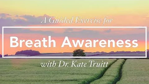 An Self-Havening Exercise for Breath Awareness with Dr. Kate Truitt