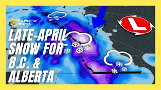Beware A Burst Of LateApril Snow For Parts Of B.C., Alberta