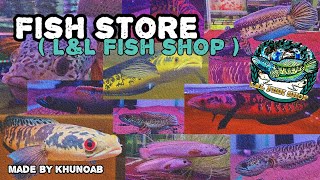 Let's check out some amazing Channa !! | ปลาช่อน ปลากั้งสีแปลกตา อยากได้อ่ะ !! | L&L Fish Shop ❤️ screenshot 4