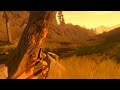 NZZ 1 Game in 100 Sek: Der Ruf der Wildnis: FIREWATCH im Test