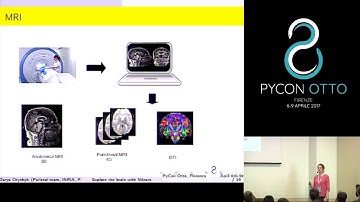 Daria Chyzhyk - Explore the brain with Nilearn