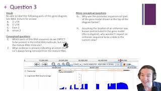 Wk3d-Thu: Problem Set Question 3