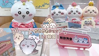 Chiikawa vlog｜韓国ちいかわショップ 🇰🇷 | Chiikawa Shop in Korea
