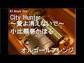 City Hunter 愛よ消えないで 小比類巻かほる オルゴール アニメ シティーハンター OP