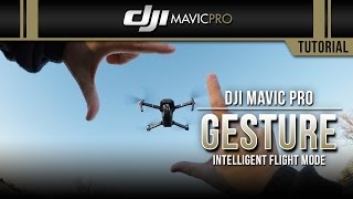Dji Mavic Pro Gesture Tutorial