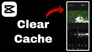 How To Clear Cache in CapCut APP