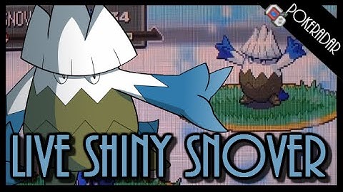 LIVE!! Shiny SNOVER + SHINY PATCH at chain of 40!!