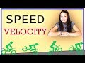 Understanding Distance, Displacement, Speed, and Velocity